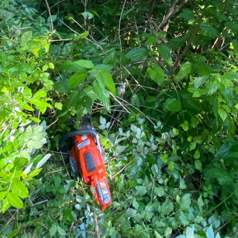 Jungbestandspflege Reutlingen