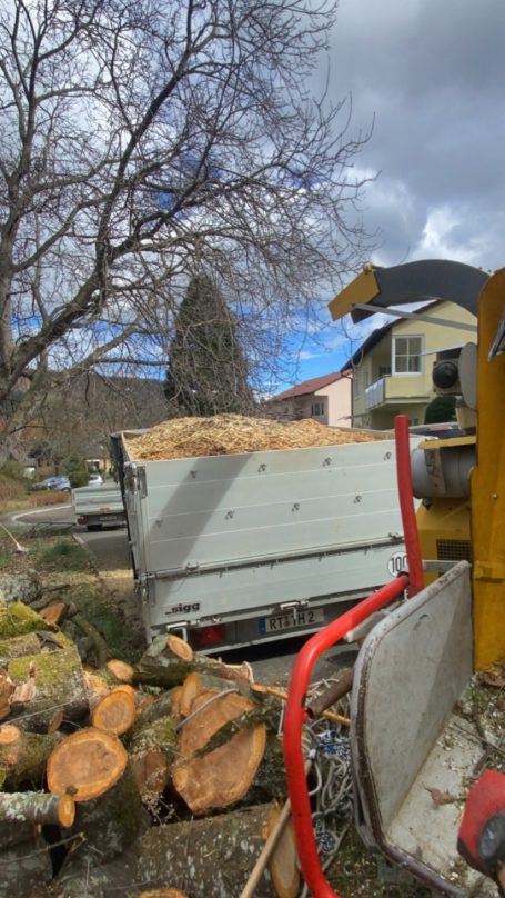 Holz häckseln Baum fällen Reutlingen